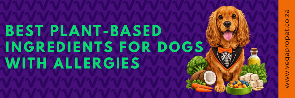 best plant-based ingredients for dogs with allergies