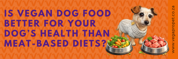 is vegan dog food better for your dog’s health than meat-based diets