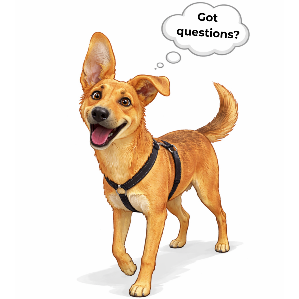 willow-got-questions-FAQ